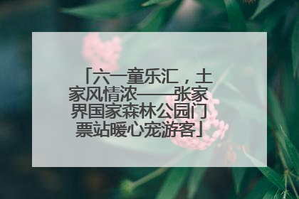 六一童乐汇，土家风情浓——张家界国家森林公园门票站暖心宠游客