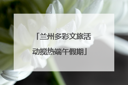 兰州多彩文旅活动搅热端午假期