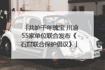 共护千年瑰宝 川渝55家单位联合发布《石窟联合保护倡议》