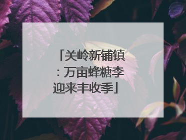 关岭新铺镇：万亩蜂糖李迎来丰收季