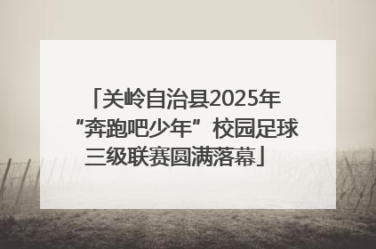 关岭自治县2025年“奔跑吧少年”校园足球三级联赛圆满落幕