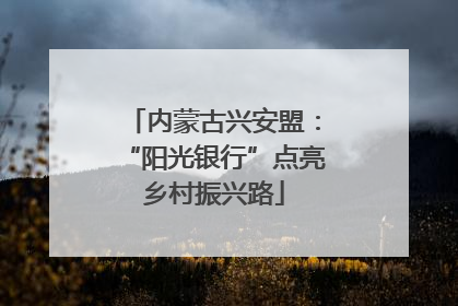 内蒙古兴安盟：“阳光银行”点亮乡村振兴路