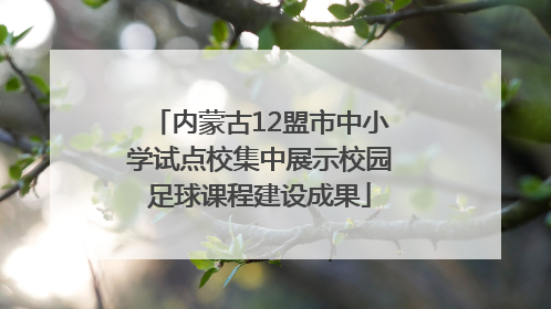 内蒙古12盟市中小学试点校集中展示校园足球课程建设成果