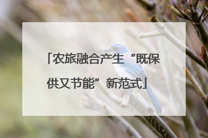 农旅融合产生“既保供又节能”新范式