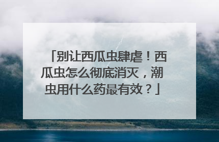 别让西瓜虫肆虐！西瓜虫怎么彻底消灭，潮虫用什么药最有效？