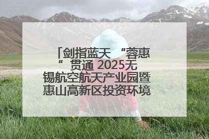 剑指蓝天 “蓉惠”贯通 2025无锡航空航天产业园暨惠山高新区投资环境推介会在成都举行