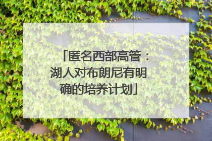 匿名西部高管：湖人对布朗尼有明确的培养计划