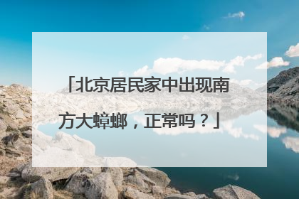 北京居民家中出现南方大蟑螂，正常吗？