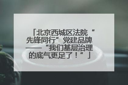 北京西城区法院“先锋同行”党建品牌——“我们基层治理的底气更足了！”
