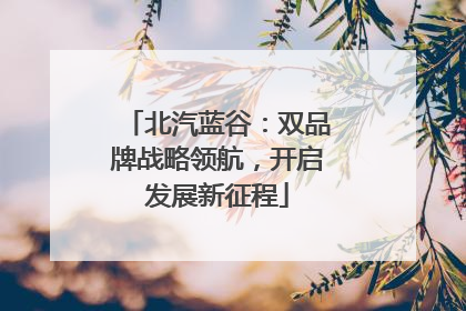 北汽蓝谷：双品牌战略领航，开启发展新征程