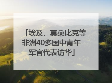 埃及、莫桑比克等非洲40多国中青年军官代表访华