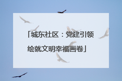 城东社区：党建引领绘就文明幸福画卷