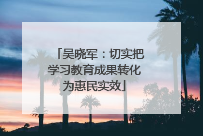 吴晓军：切实把学习教育成果转化为惠民实效