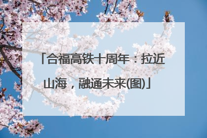 合福高铁十周年：拉近山海，融通未来(图)