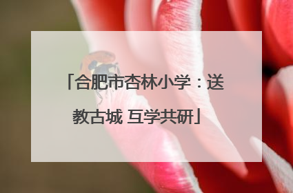 合肥市杏林小学：送教古城 互学共研