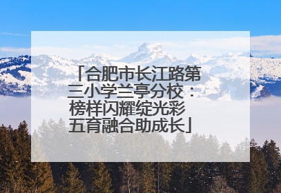 合肥市长江路第三小学兰亭分校：榜样闪耀绽光彩 五育融合助成长