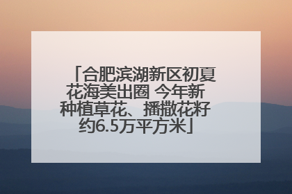 合肥滨湖新区初夏花海美出圈 今年新种植草花、播撒花籽约6.5万平方米