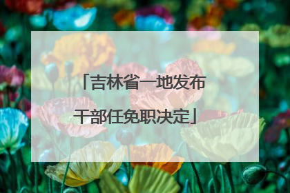 吉林省一地发布干部任免职决定