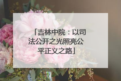 吉林中院：以司法公开之光照亮公平正义之路