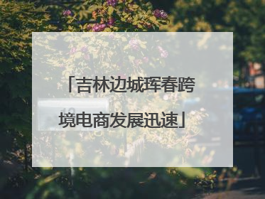 吉林边城珲春跨境电商发展迅速