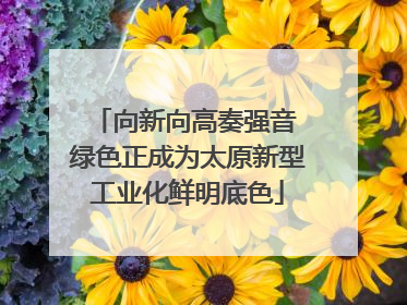 向新向高奏强音 绿色正成为太原新型工业化鲜明底色