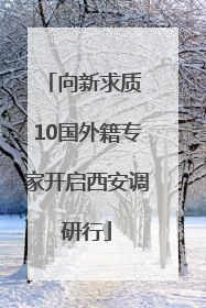 向新求质 10国外籍专家开启西安调研行