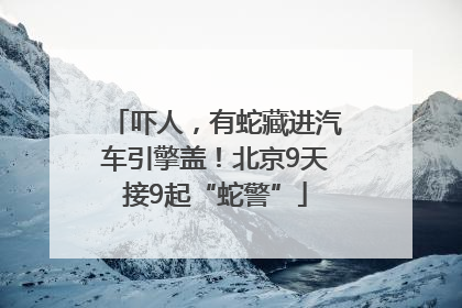 吓人，有蛇藏进汽车引擎盖！北京9天接9起“蛇警”
