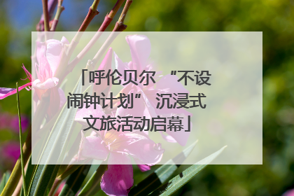 呼伦贝尔 “不设闹钟计划” 沉浸式文旅活动启幕