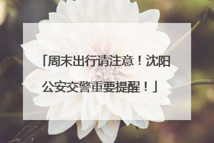 周末出行请注意！沈阳公安交警重要提醒！
