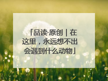 品读·原创｜在这里，永远想不出会遇到什么动物