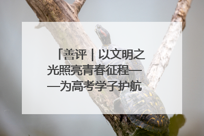 善评｜以文明之光照亮青春征程——为高考学子护航新时代成长之路
