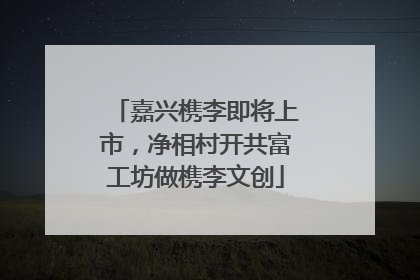 嘉兴槜李即将上市，净相村开共富工坊做槜李文创