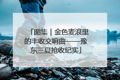 图集｜金色麦浪里的丰收交响曲——豫东三夏抢收纪实