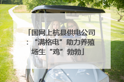 国网上杭县供电公司：“满格电”助力养殖场生“鸡”勃勃