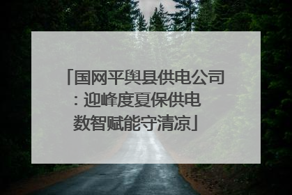 国网平舆县供电公司：迎峰度夏保供电  数智赋能守清凉