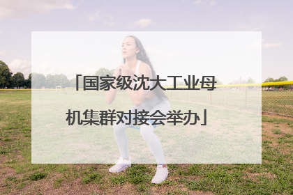 国家级沈大工业母机集群对接会举办