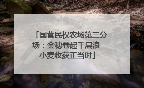 国营民权农场第三分场：金穗卷起千层浪 小麦收获正当时