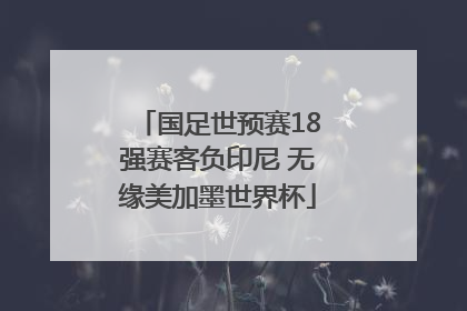 国足世预赛18强赛客负印尼 无缘美加墨世界杯
