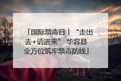 国际禁毒日丨“走出去+请进来” 华容县全方位筑牢禁毒防线