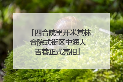 四合院里开米其林 合院式街区中海大吉巷正式亮相