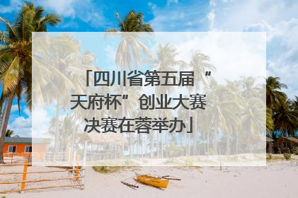 四川省第五届“天府杯”创业大赛决赛在蓉举办