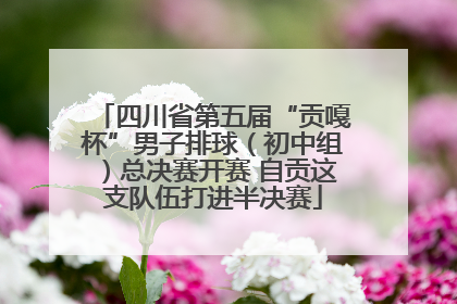 四川省第五届“贡嘎杯”男子排球（初中组）总决赛开赛 自贡这支队伍打进半决赛