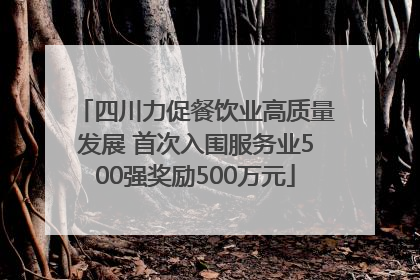 四川力促餐饮业高质量发展 首次入围服务业500强奖励500万元