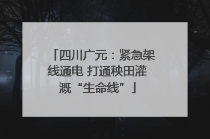 四川广元：紧急架线通电 打通秧田灌溉“生命线”