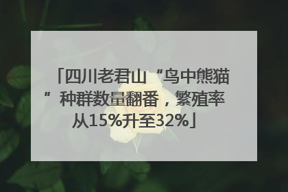 四川老君山“鸟中熊猫”种群数量翻番，繁殖率从15%升至32%