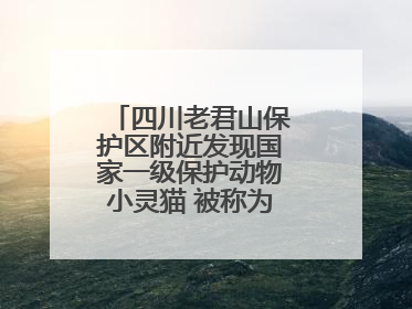 四川老君山保护区附近发现国家一级保护动物小灵猫 被称为“生态试纸”