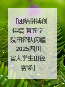 团结拼搏创佳绩 宜宾学院田径队闪耀2025四川省大学生田径赛场