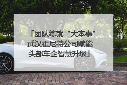 团队练就“大本事” 武汉霍尼特公司赋能头部车企智慧升级