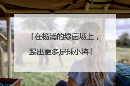 在杨浦的绿茵场上，踢出更多足球小将