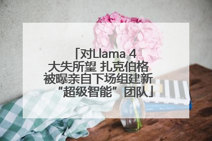 对Llama 4大失所望 扎克伯格被曝亲自下场组建新“超级智能”团队